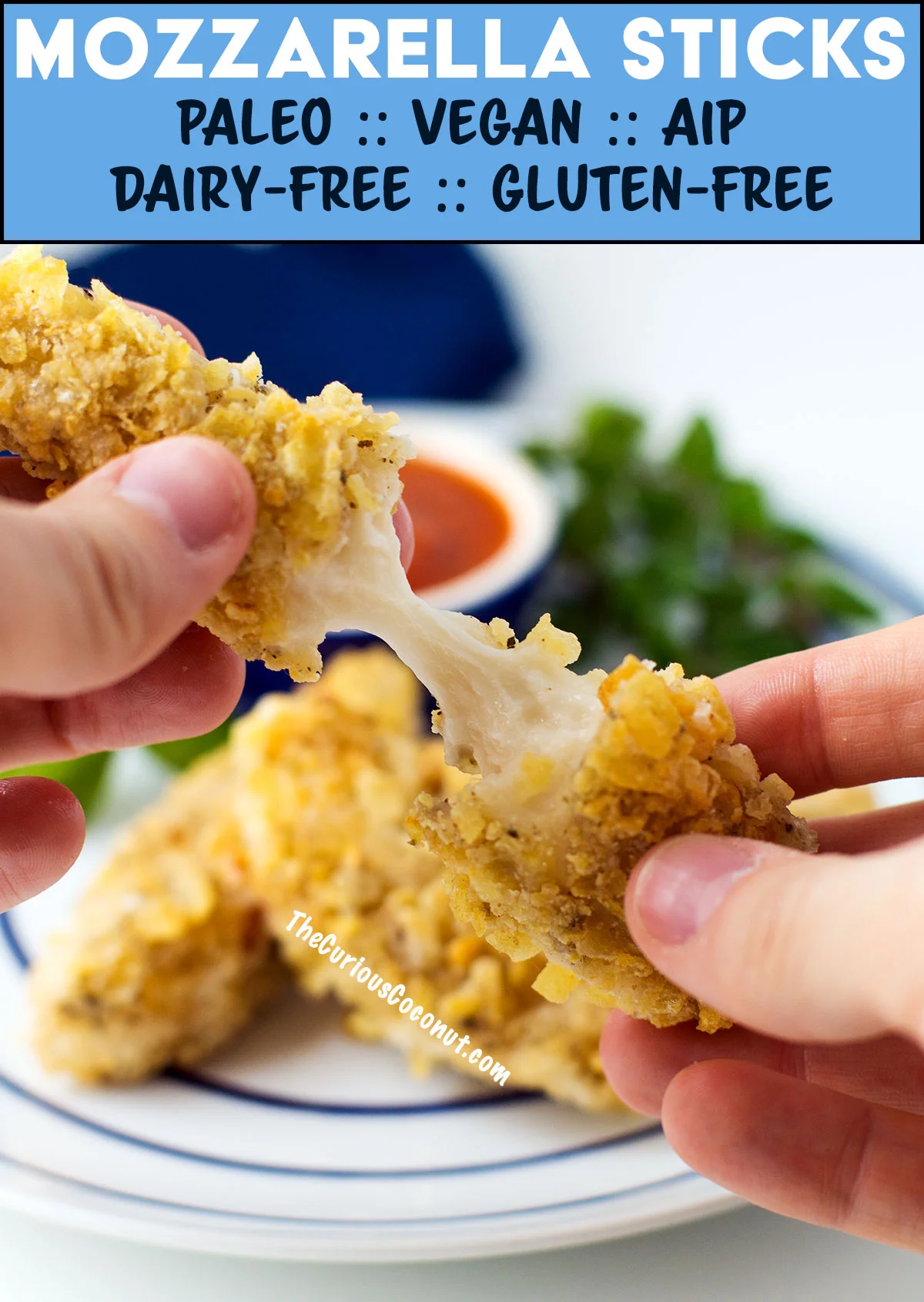Mozzarella Sticks Paleo Vegan AIP Gluten Free Dairy Free Nut Free